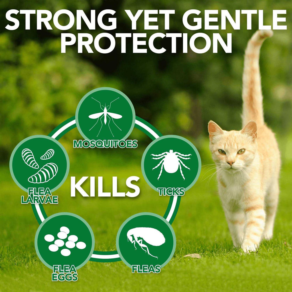 Flea Tick Home Spray A174