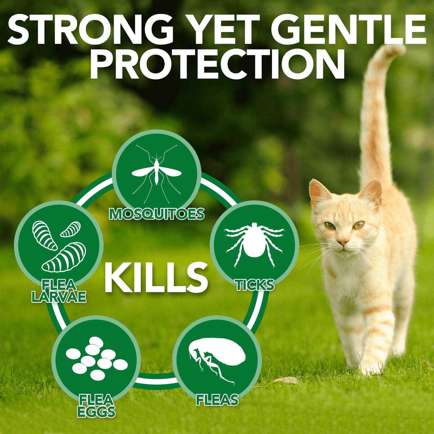 Flea Tick Home Spray A174