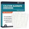 Silver Calcium Alginate Wound Dressing Pads, 4''x4'' Patches, 10 Individual Pack, Non Stick Gauze Pads Z564
