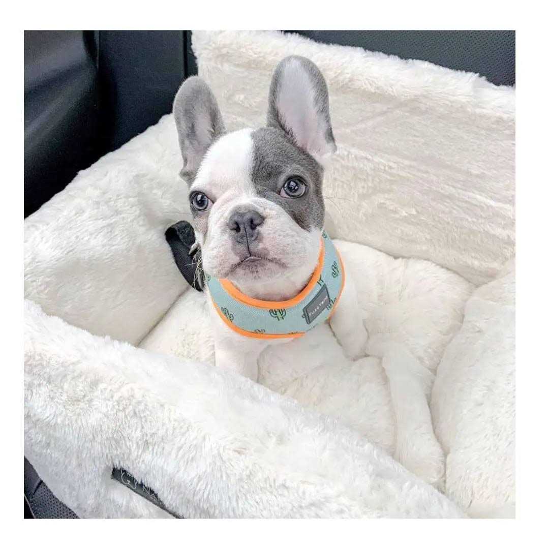Ivory Cloud Dog Car Seat Bed K739209