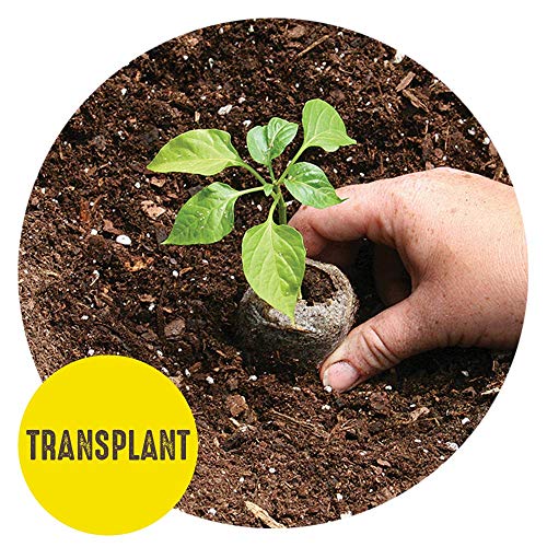 72 Cell 36mm Peat Pellets Seed Starting Tray Kit, 2 Pack C3954