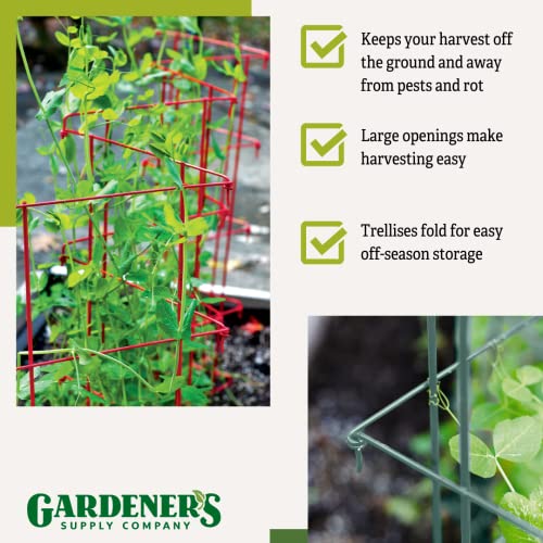 Expandable Tall Pea Trellis for Climbing Plants, 9'-8" L x 37" H - Green K724710