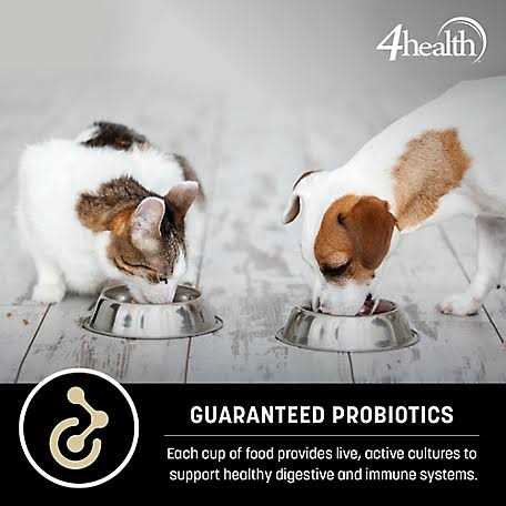 Adult Healthy Weight Chicken Formula Dry Dog Food O6369