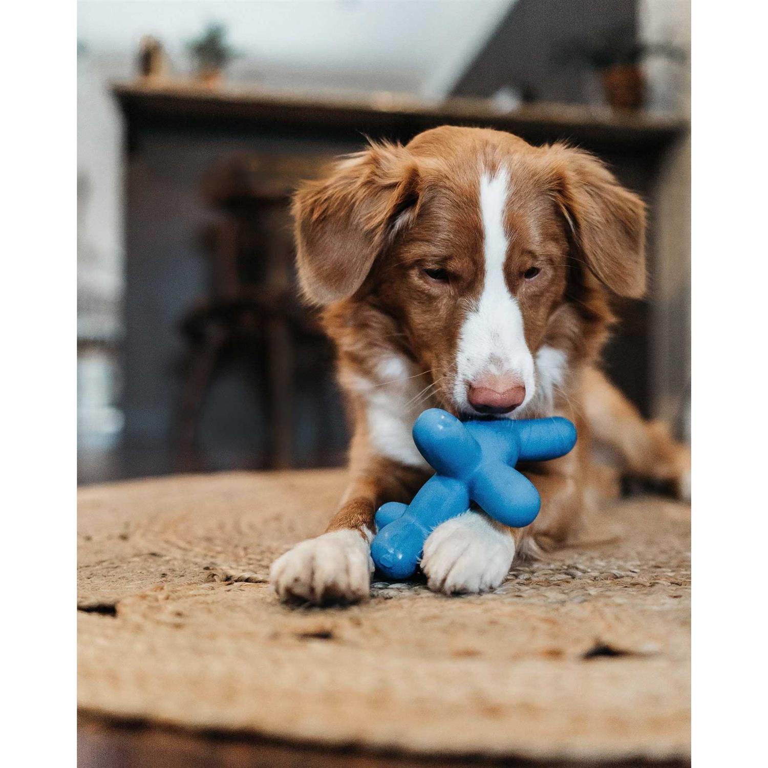 Latex Balloon Dog Toy E496