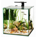 Frameless Cube Aquarium N40722