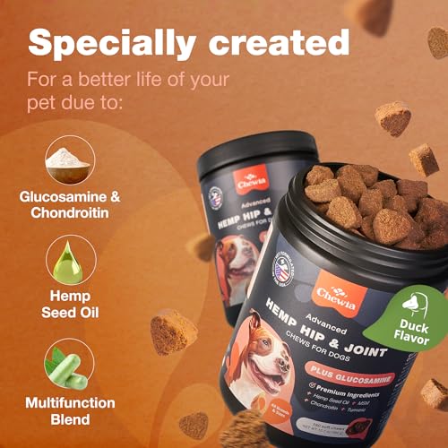 Glucosamine Chondroitin Dog Chews with MSM U103033