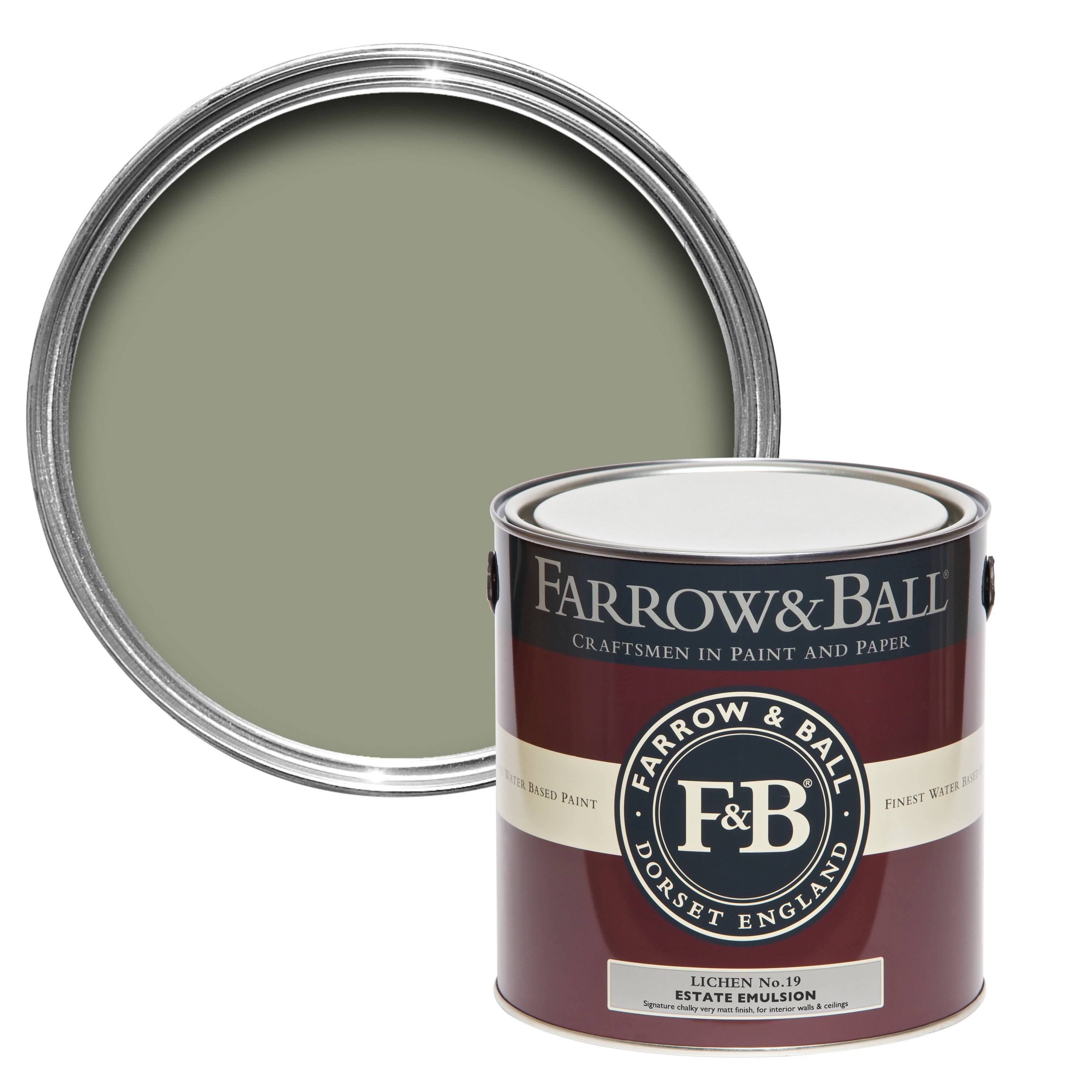 Lichen Paint Exterior Masonry K336