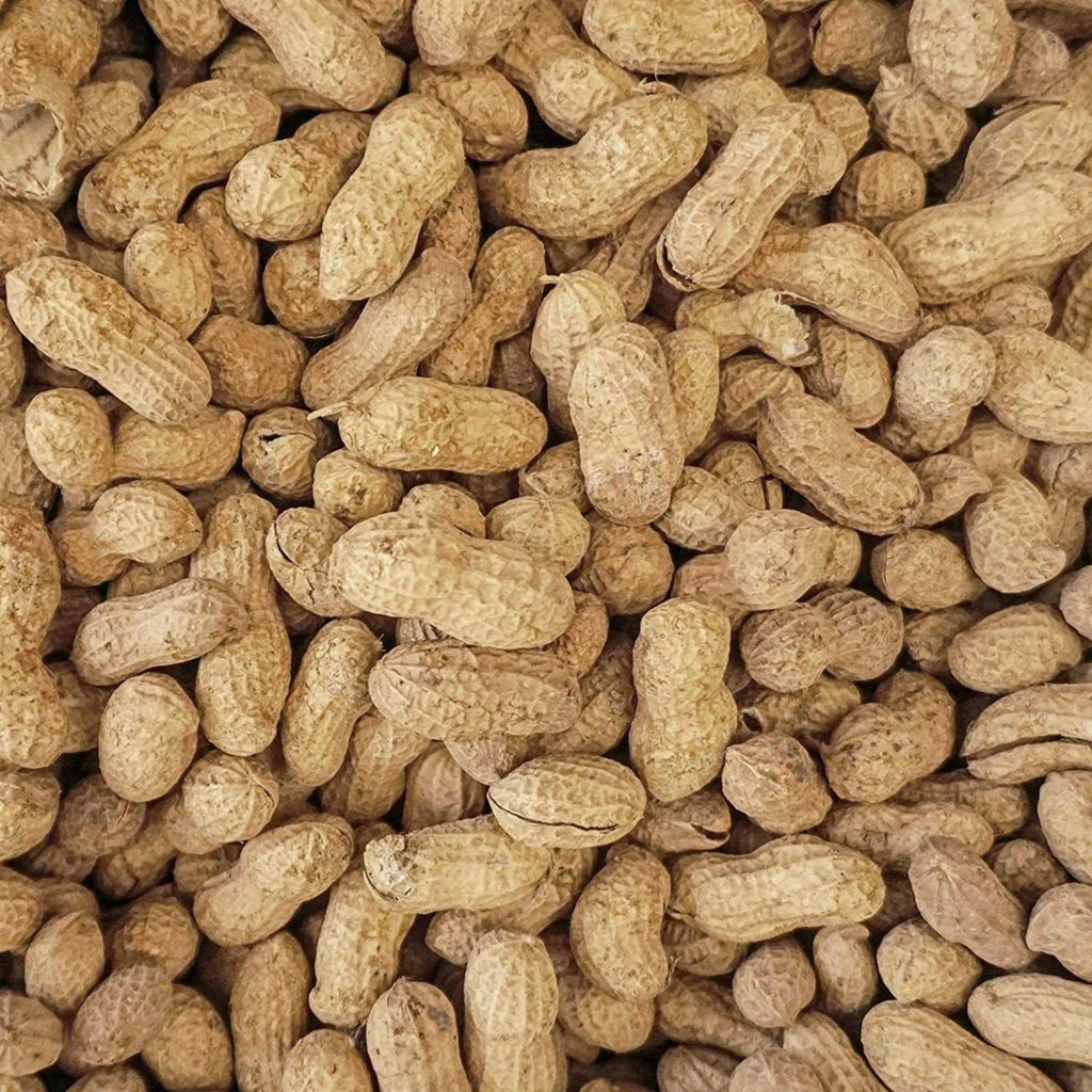 Peanut Party In-Shell Peanuts For Birds V175