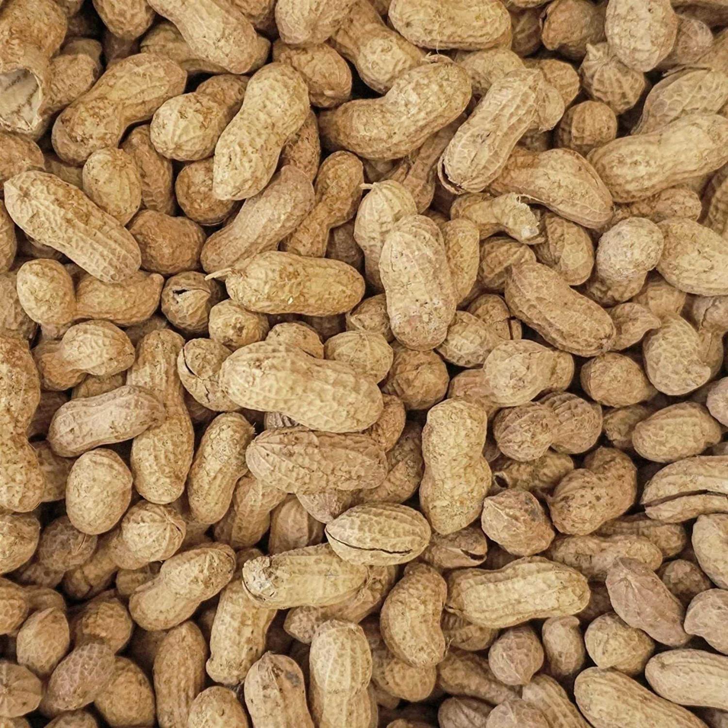 Peanut Party In-Shell Peanuts For Birds V175