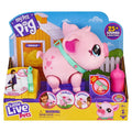 My Pet Pig A220909