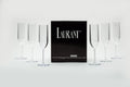 Set of 6 Crystal Clear Tritan Plastic Champagne Flutes H905