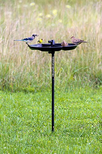 Green Squirrel-proof Bird Feeder with 6 Feeding Ports, 5.1-pound Seed Capacity, Pole-mountable Y70372