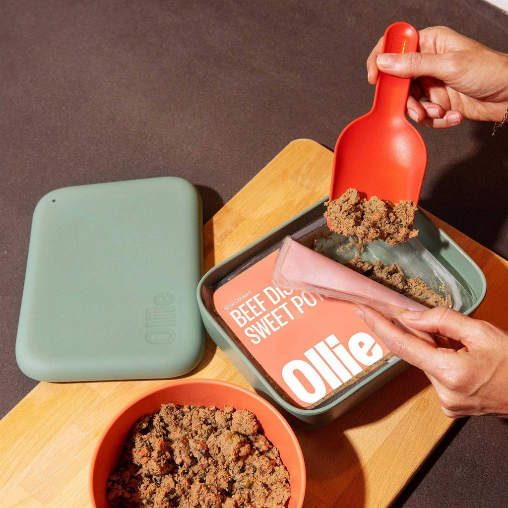 Dog Food Storage Container S221468