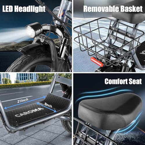 500W/800W/1200W Electric Scooter with Seat, 14" Fat Tire, Foldable Electric Scooter S748