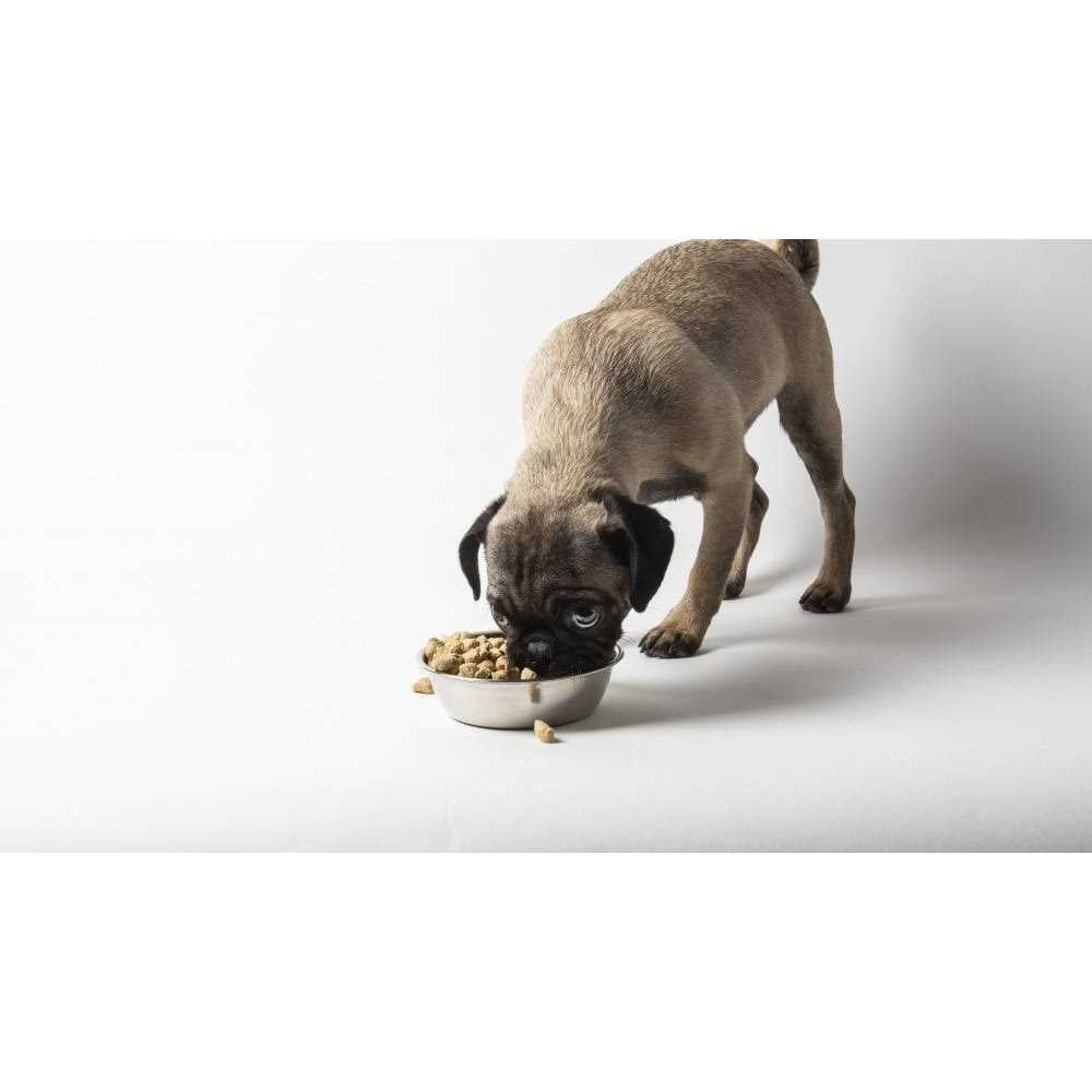 Freeze Dried Raw Small Breed Dog Food C577