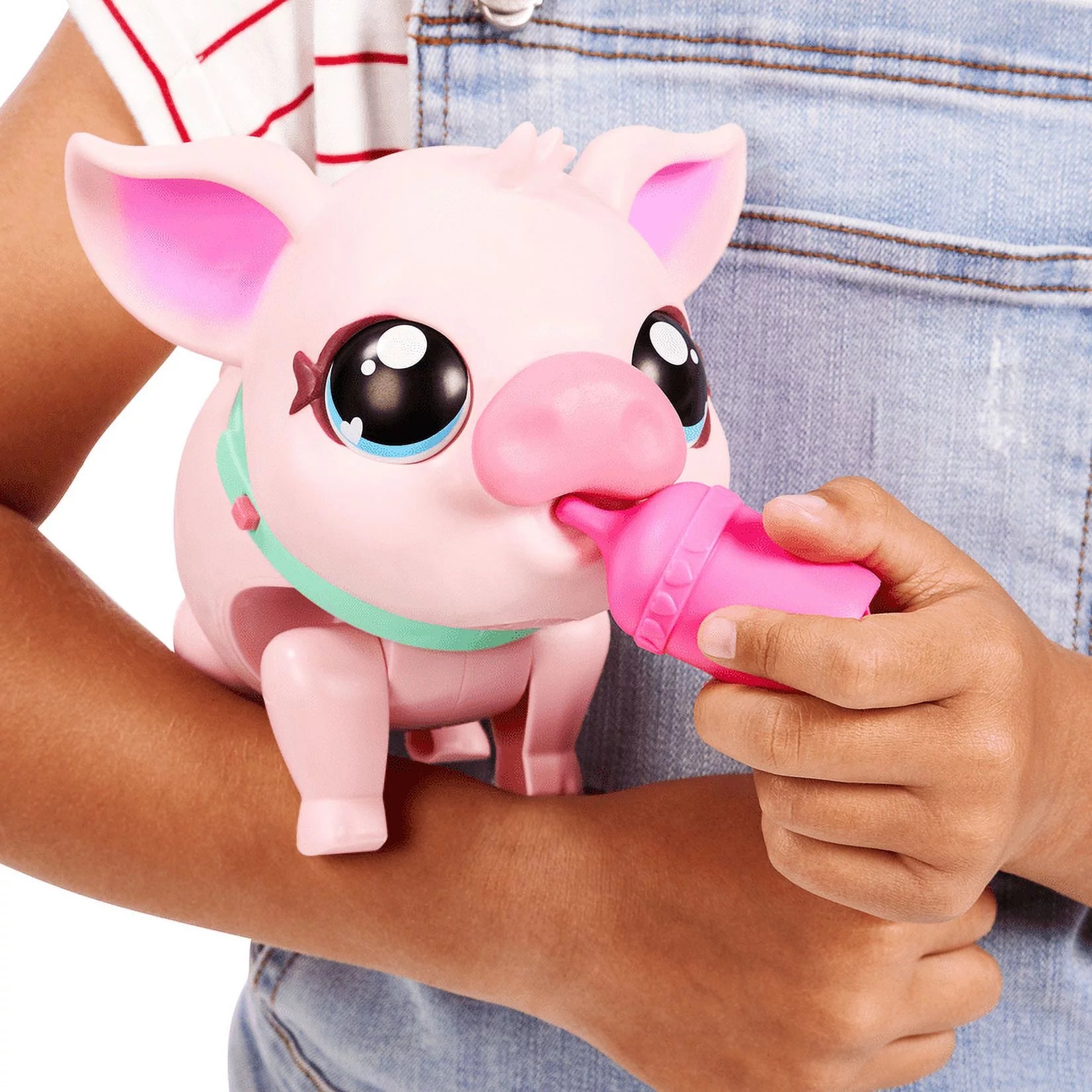 My Pet Pig A220909