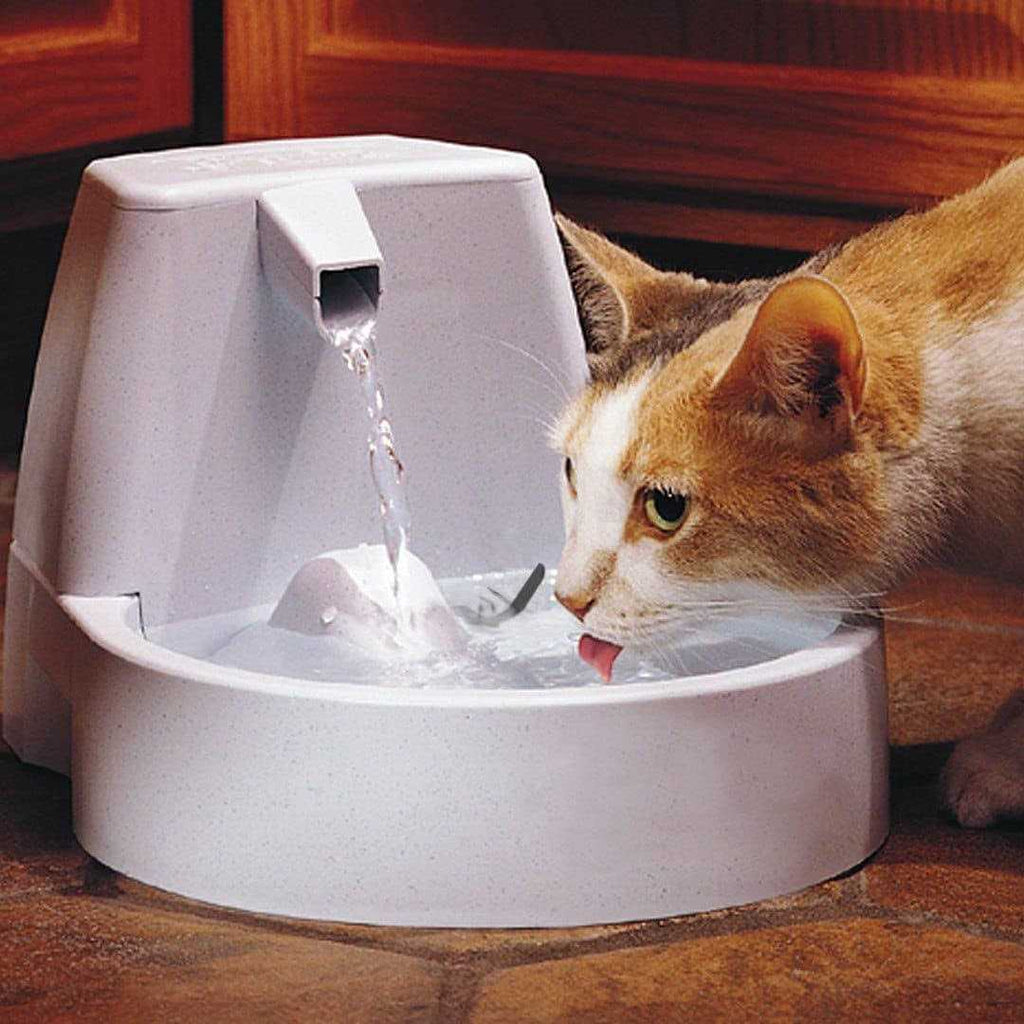 Original Pet Fountain I3843