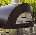 Nano Gas or Wood Fire Hybrid Pizza Oven S98897