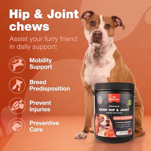 Glucosamine Chondroitin Dog Chews with MSM U103033