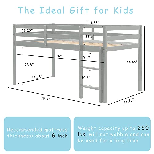 Solid Wood Twin Size Loft Bed with Ladders and Guard Rails E73939