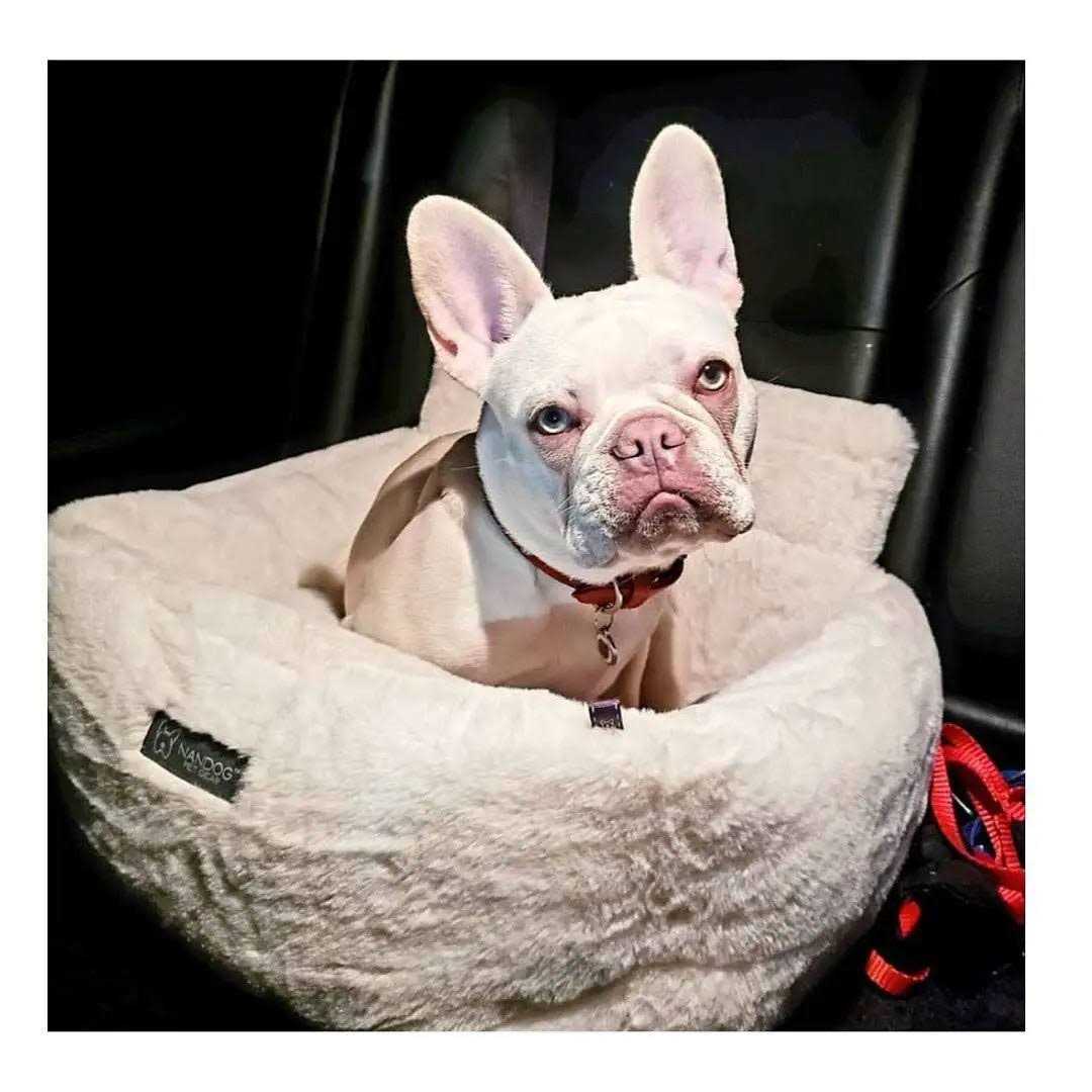 Ivory Cloud Dog Car Seat Bed K739209