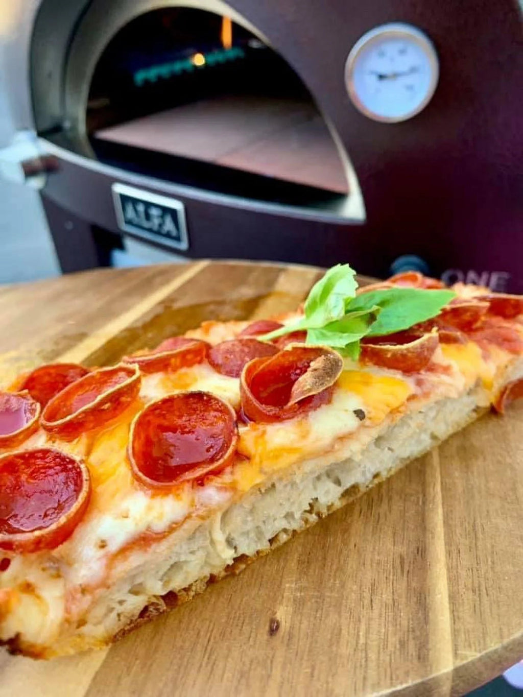 Nano Gas or Wood Fire Hybrid Pizza Oven S98897